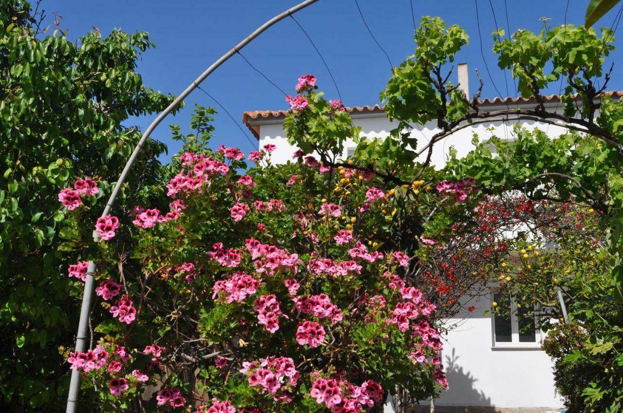 B&B Les Chambres Rooms & Suite Santa Teresa Gallura Exterior photo